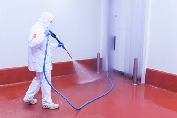 Paint Preparation in Hazardville, CT